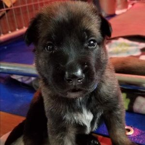 Meet your Posher, Scott